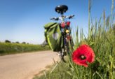 Tour de France-vindere: En Gennemgang af Den Største Cykelløbsbegivenhed i Historien
